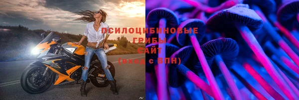 2c-b Белокуриха
