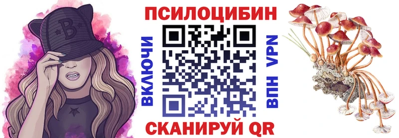 купить закладку  Ясногорск  Псилоцибиновые грибы Magic Shrooms 
