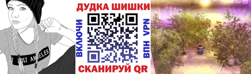 Бошки марихуана гибрид  Ясногорск 
